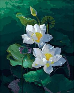 paint by numbers | Pretty Water lilies | easy flowers new arrivals | FiguredArt