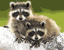 Load image into Gallery viewer, paint by numbers | Raccoons | intermediate landscapes raccoons | FiguredArt