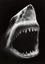 Load image into Gallery viewer, paint by numbers | Shark Black And White | advanced animals fish | FiguredArt