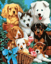 Load image into Gallery viewer, paint by numbers | Small Dogs in a Basket | animals dogs intermediate | FiguredArt