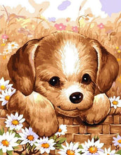 Load image into Gallery viewer, paint by numbers | Small Puppy | animals dogs intermediate | FiguredArt