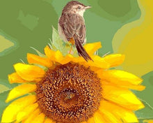 Load image into Gallery viewer, paint by numbers | Sunflower and Bird | animals birds flowers intermediate | FiguredArt