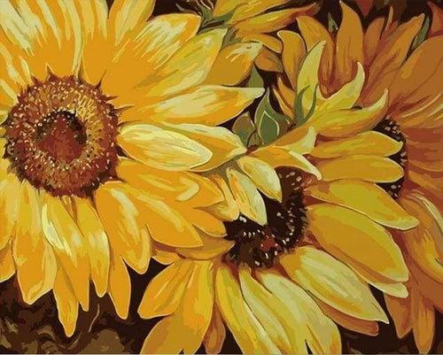 paint by numbers | Sunflower In Full Bloom | easy flowers | FiguredArt