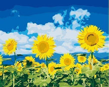 Load image into Gallery viewer, paint by numbers | Sunflowers and Blue Sky | easy flowers | FiguredArt