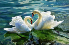 Load image into Gallery viewer, paint by numbers | Swan Couple | animals birds intermediate swans | FiguredArt