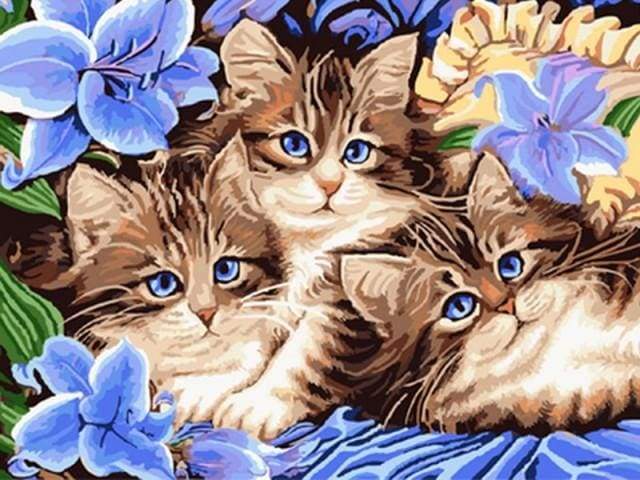 paint by numbers | The Cat Family | animals cats easy | FiguredArt