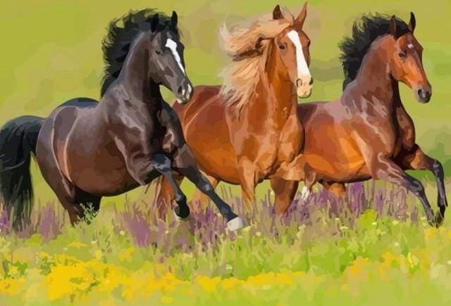 paint by numbers | Three Horses gallop | animals easy horses | FiguredArt