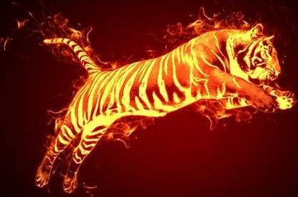 Paint by numbers - Tiger in fire – Figured'Art