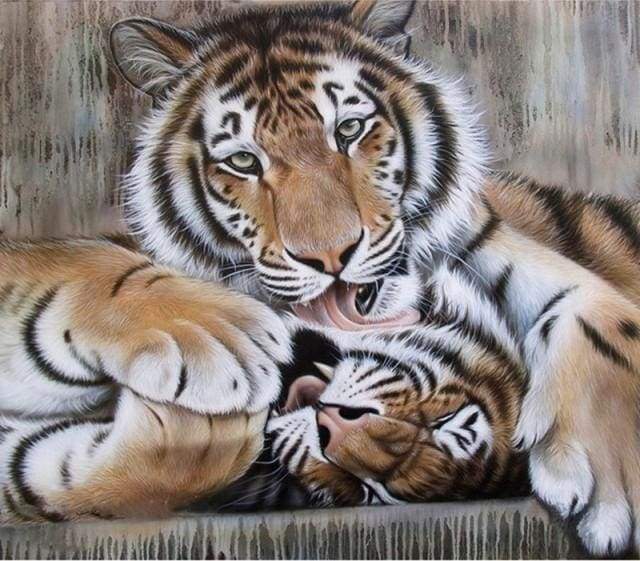paint by numbers | Tigers | advanced animals tigers | FiguredArt