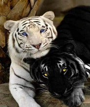 Load image into Gallery viewer, paint by numbers | Tigers White And Black | advanced animals tigers | FiguredArt