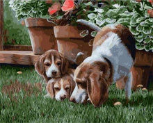 Load image into Gallery viewer, paint by numbers | Tree Dogs | advanced animals dogs | FiguredArt