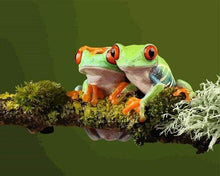 Load image into Gallery viewer, paint by numbers | Two Little Frogs | advanced animals frogs | FiguredArt