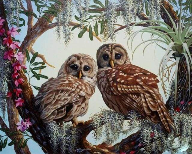 Owls Painting By Numbers Set, Hobby Lobby