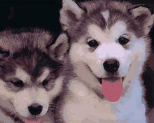 Load image into Gallery viewer, paint by numbers | Two Puppies | animals dogs intermediate | FiguredArt
