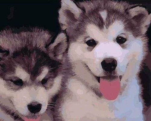 paint by numbers | Two Puppies | animals dogs intermediate | FiguredArt