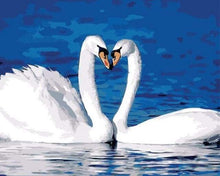 Load image into Gallery viewer, paint by numbers | Two Swans | animals birds easy swans | FiguredArt