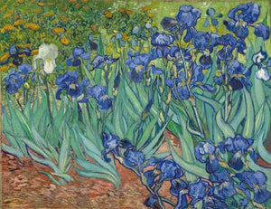 paint by numbers | Van Gogh Iris | advanced famous paintings flowers van gogh | FiguredArt