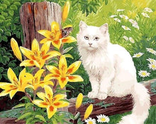 Load image into Gallery viewer, paint by numbers | White Cat and Yellow Flowers | animals cats intermediate | FiguredArt
