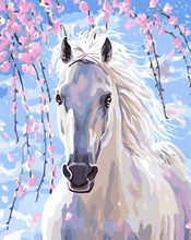 Load image into Gallery viewer, paint by numbers | White Horse And Flowers | animals easy horses | FiguredArt