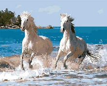 Load image into Gallery viewer, paint by numbers | White Horses and Seaside | animals horses intermediate | FiguredArt