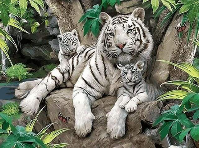 paint by numbers | White Tiger family | animals intermediate tigers | FiguredArt