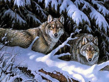 Load image into Gallery viewer, paint by numbers | Wolves in Winter | advanced animals wolves | FiguredArt