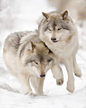 Load image into Gallery viewer, paint by numbers | Wolves playing in the Snow | advanced animals wolves | FiguredArt