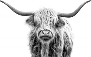 paint by numbers | Yak | advanced animals bison and yaks | FiguredArt