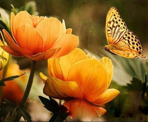 paint by numbers | Yellow Flower and Butterfly | animals butterflies easy flowers | FiguredArt