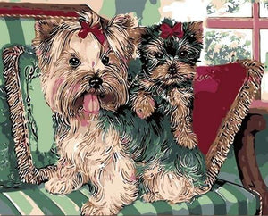 paint by numbers | Yorkshire terriers on Sofa | animals dogs intermediate | FiguredArt